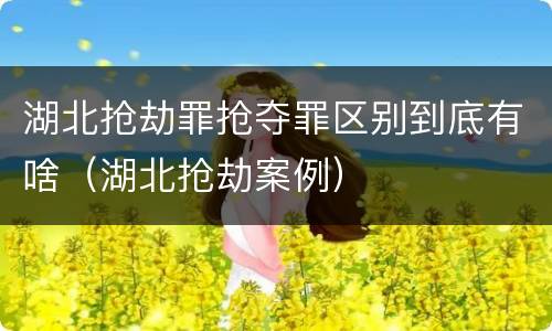 湖北抢劫罪抢夺罪区别到底有啥（湖北抢劫案例）