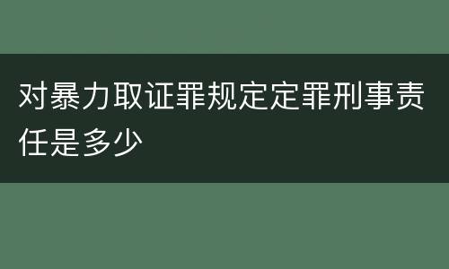 对暴力取证罪规定定罪刑事责任是多少