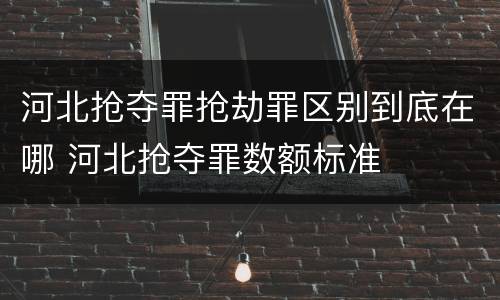 河北抢夺罪抢劫罪区别到底在哪 河北抢夺罪数额标准