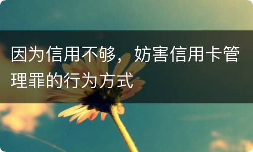 因为信用不够，妨害信用卡管理罪的行为方式