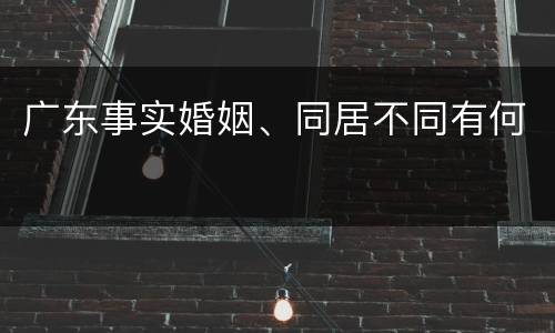 广东事实婚姻、同居不同有何