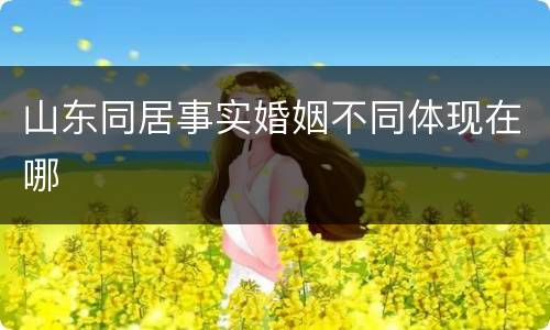 山东同居事实婚姻不同体现在哪