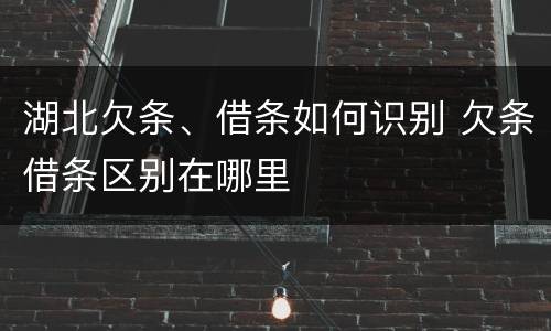 湖北欠条、借条如何识别 欠条借条区别在哪里