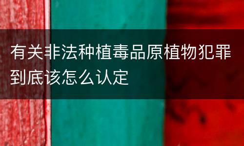 有关非法种植毒品原植物犯罪到底该怎么认定