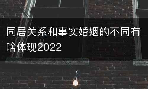 同居关系和事实婚姻的不同有啥体现2022