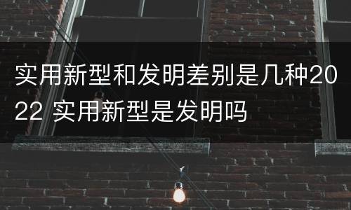 实用新型和发明差别是几种2022 实用新型是发明吗