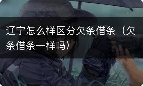辽宁怎么样区分欠条借条（欠条借条一样吗）