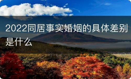 2022同居事实婚姻的具体差别是什么