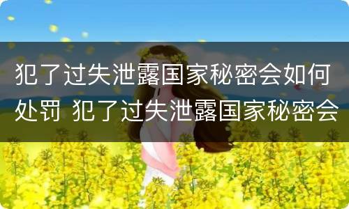 犯了过失泄露国家秘密会如何处罚 犯了过失泄露国家秘密会如何处罚呢