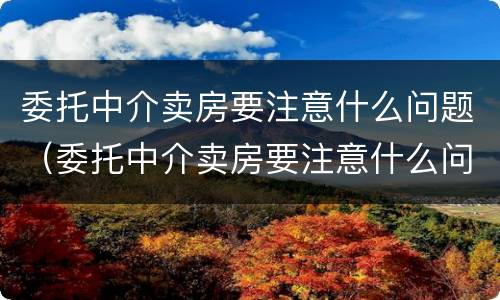 委托中介卖房要注意什么问题（委托中介卖房要注意什么问题呢）