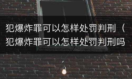 犯爆炸罪可以怎样处罚判刑（犯爆炸罪可以怎样处罚判刑吗）
