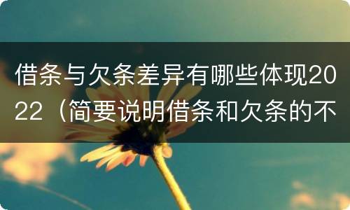 借条与欠条差异有哪些体现2022（简要说明借条和欠条的不同之处）