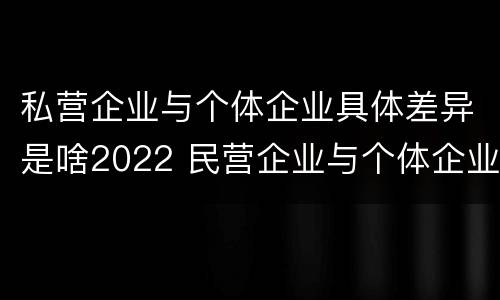 私营企业与个体企业具体差异是啥2022 民营企业与个体企业的区别