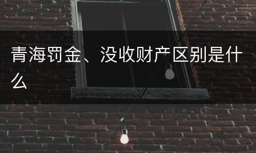 青海罚金、没收财产区别是什么