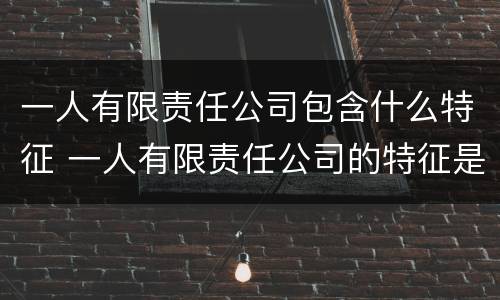 一人有限责任公司包含什么特征 一人有限责任公司的特征是什么
