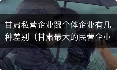 甘肃私营企业跟个体企业有几种差别（甘肃最大的民营企业）