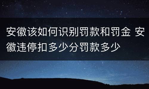 安徽该如何识别罚款和罚金 安徽违停扣多少分罚款多少