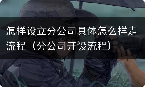 怎样设立分公司具体怎么样走流程（分公司开设流程）