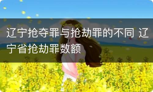 辽宁抢夺罪与抢劫罪的不同 辽宁省抢劫罪数额