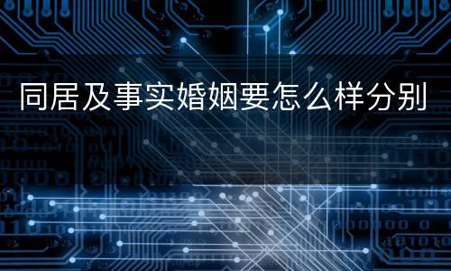 同居及事实婚姻要怎么样分别