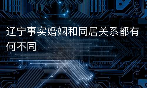 辽宁事实婚姻和同居关系都有何不同