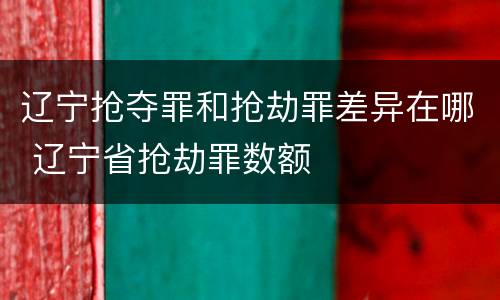 辽宁抢夺罪和抢劫罪差异在哪 辽宁省抢劫罪数额