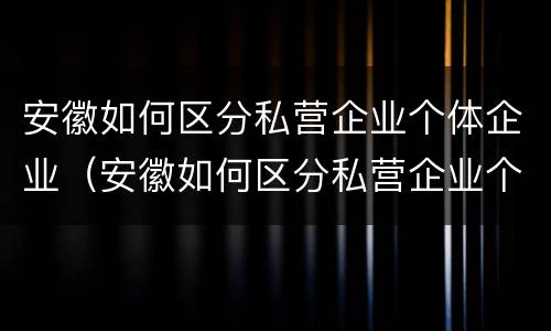 安徽如何区分私营企业个体企业（安徽如何区分私营企业个体企业和企业）