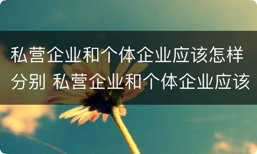 私营企业和个体企业应该怎样分别 私营企业和个体企业应该怎样分别注册