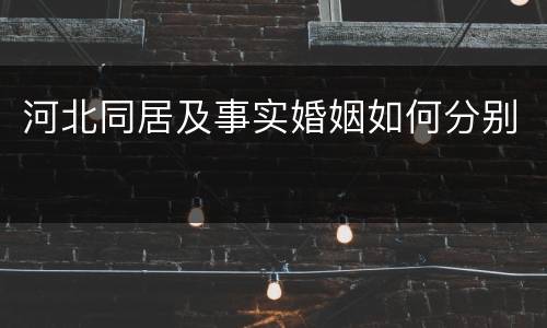 河北同居及事实婚姻如何分别