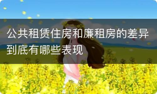 公共租赁住房和廉租房的差异到底有哪些表现