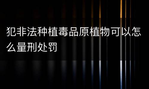 犯非法种植毒品原植物可以怎么量刑处罚