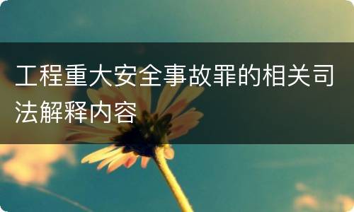 工程重大安全事故罪的相关司法解释内容
