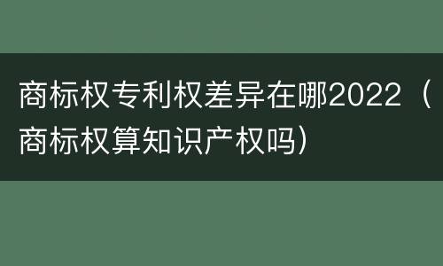 商标权专利权差异在哪2022（商标权算知识产权吗）
