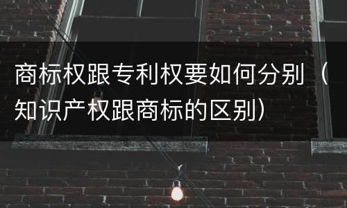 商标权跟专利权要如何分别（知识产权跟商标的区别）