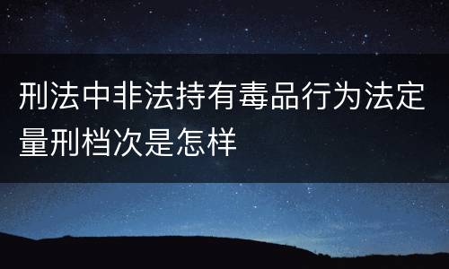 刑法中非法持有毒品行为法定量刑档次是怎样