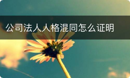 公司法人人格混同怎么证明