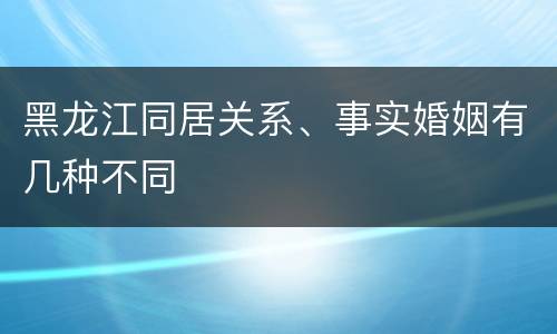 黑龙江同居关系、事实婚姻有几种不同