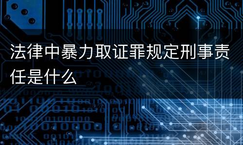 法律中暴力取证罪规定刑事责任是什么