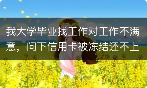 我大学毕业找工作对工作不满意，问下信用卡被冻结还不上钱怎么办