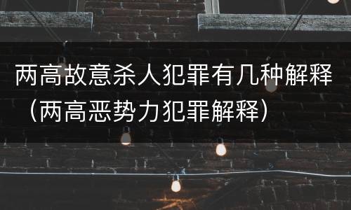 两高故意杀人犯罪有几种解释（两高恶势力犯罪解释）