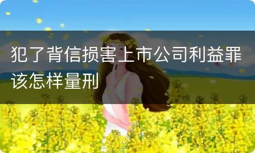 犯了背信损害上市公司利益罪该怎样量刑