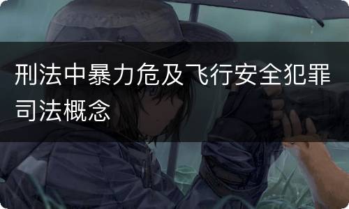 刑法中暴力危及飞行安全犯罪司法概念