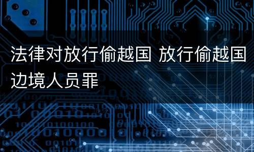 法律对放行偷越国 放行偷越国边境人员罪