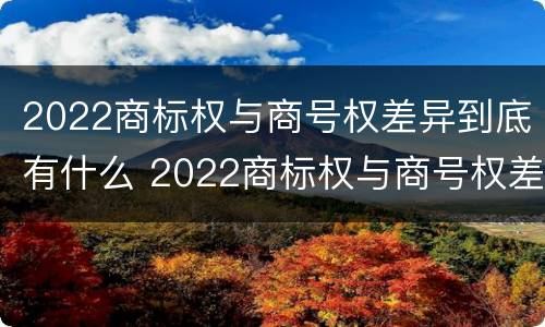 2022商标权与商号权差异到底有什么 2022商标权与商号权差异到底有什么影响