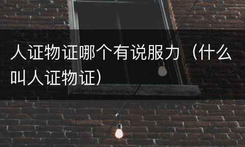人证物证哪个有说服力（什么叫人证物证）