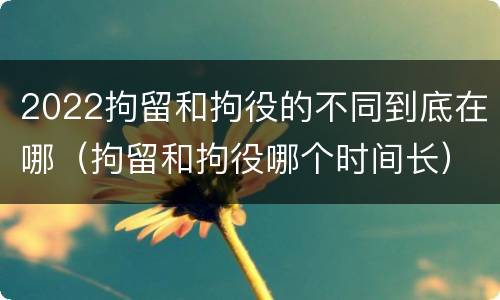 2022拘留和拘役的不同到底在哪（拘留和拘役哪个时间长）