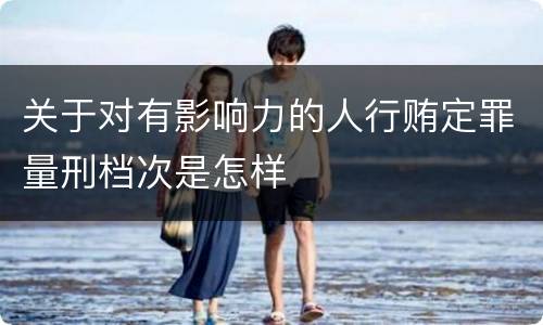 关于对有影响力的人行贿定罪量刑档次是怎样