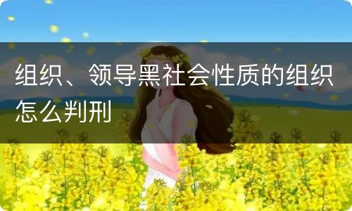 组织、领导黑社会性质的组织怎么判刑