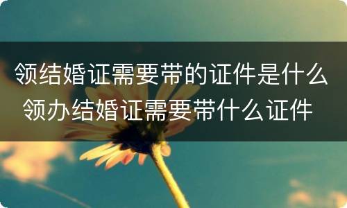 领结婚证需要带的证件是什么 领办结婚证需要带什么证件