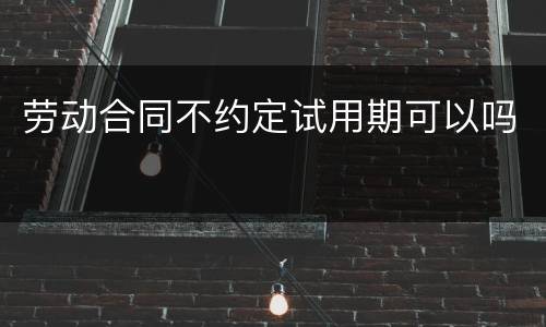 劳动合同不约定试用期可以吗